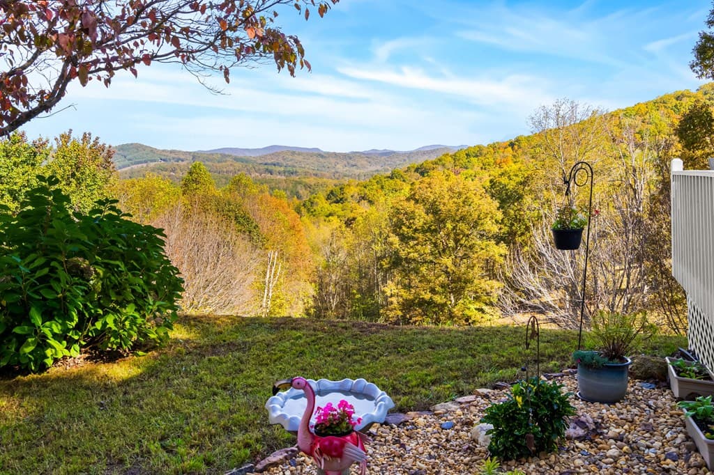 295 White Oak Drive, Warne NC 28909 - Photo