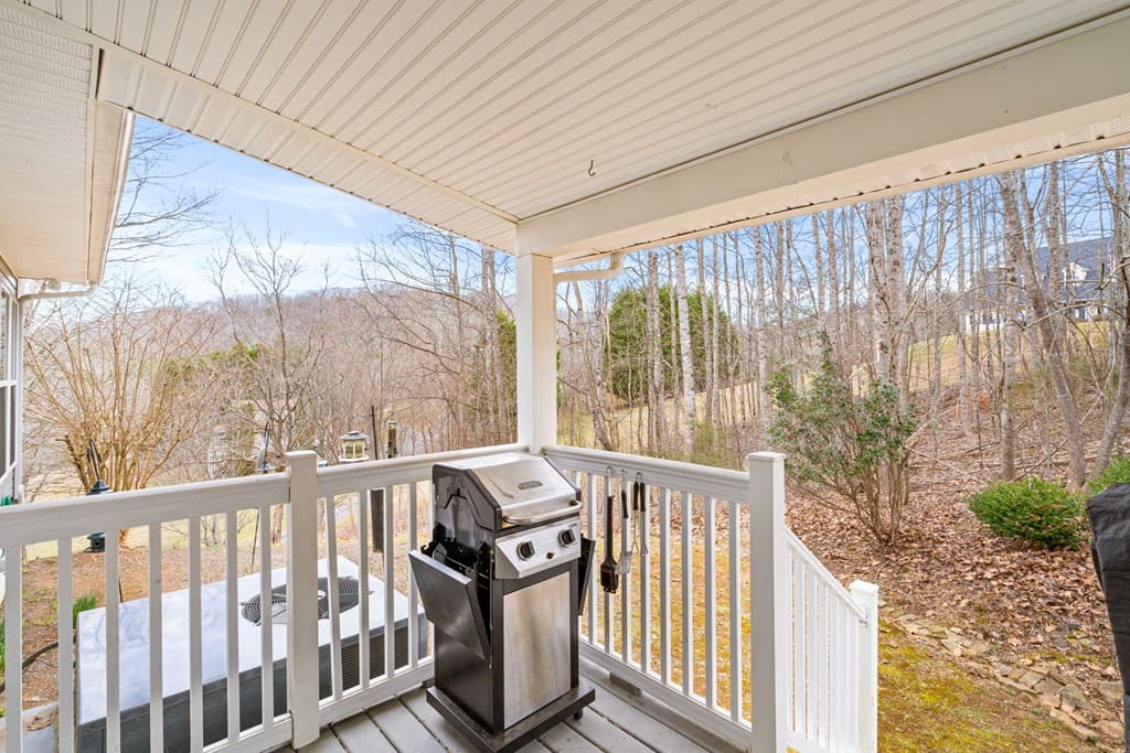 295 White Oak Drive, Warne NC 28909 - Photo