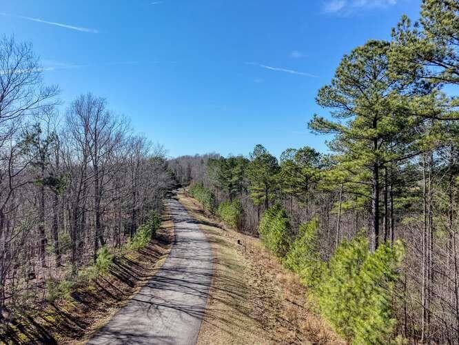 Lot 61 Thirteen Hundred, Blairsville GA 30512 - Photo