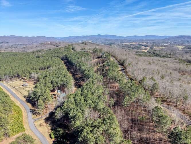 Lot 61 Thirteen Hundred, Blairsville GA 30512 - Photo