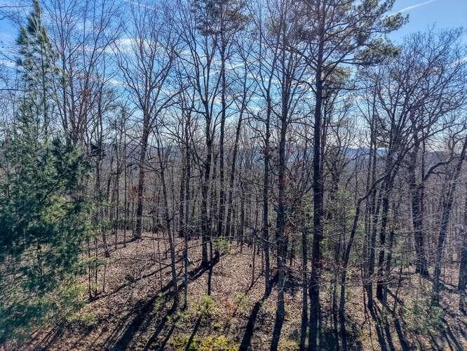 Lot 61 Thirteen Hundred, Blairsville GA 30512 - Primary photo