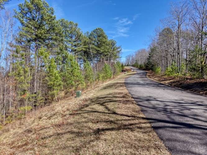 Lot 61 Thirteen Hundred, Blairsville GA 30512 - Photo
