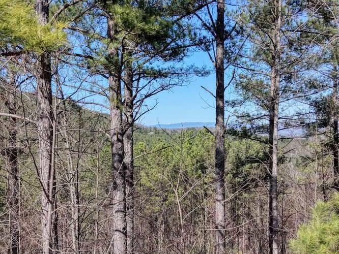 Lot 61 Thirteen Hundred, Blairsville GA 30512 - Photo