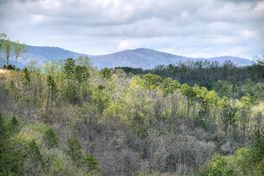 250 Noah Circle, Ellijay GA 30540 - Photo
