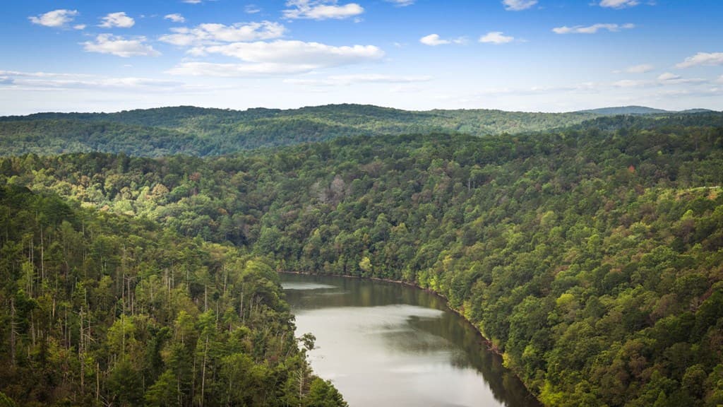 250 Noah Circle, Ellijay GA 30540 - Photo