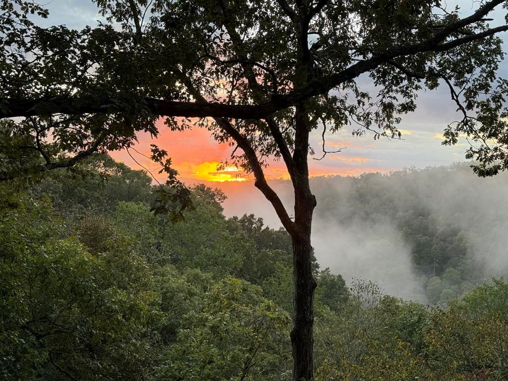 250 Noah Circle, Ellijay GA 30540 - Photo