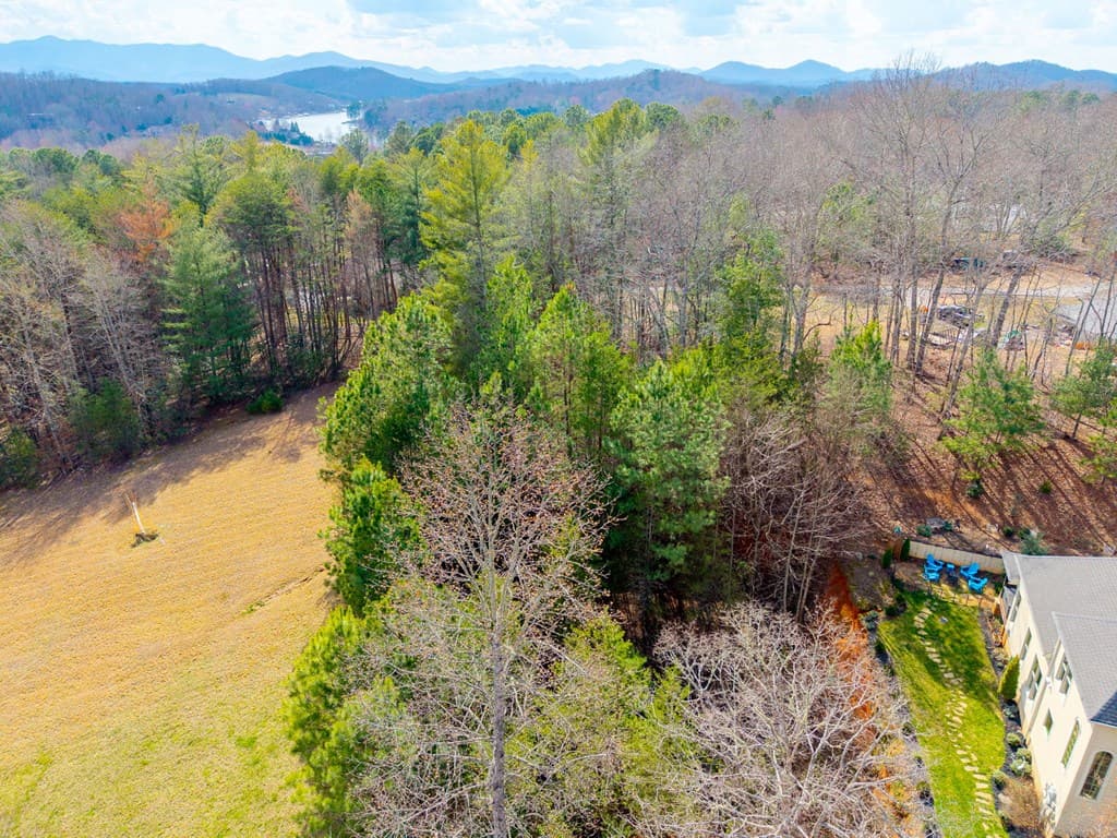 TBD Licklog Ridge, Hayesville NC 28904 - Photo