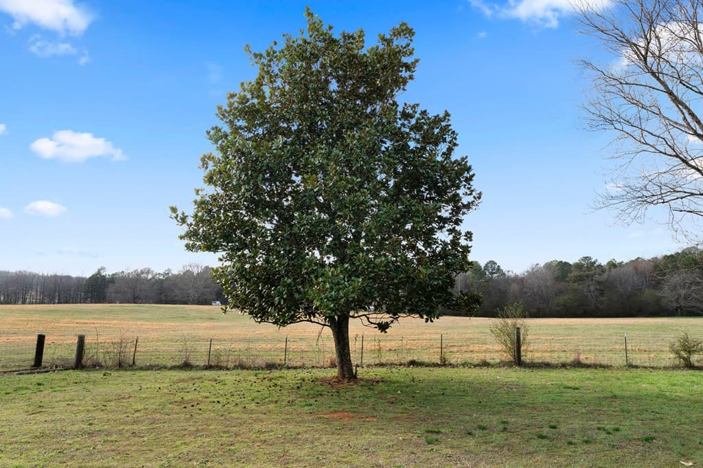 174 Cline Drive, Cartersville GA 30120 - Photo