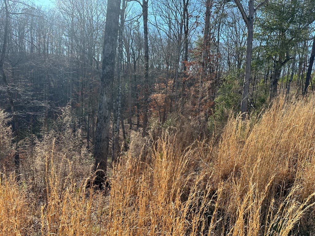 77 River Overlook Lane S, Ellijay GA 30540 - Photo
