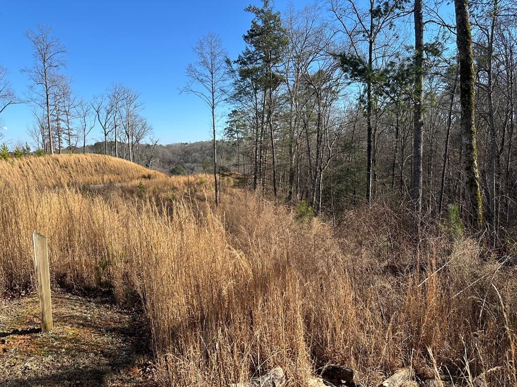 77 River Overlook Lane S, Ellijay GA 30540 - Photo