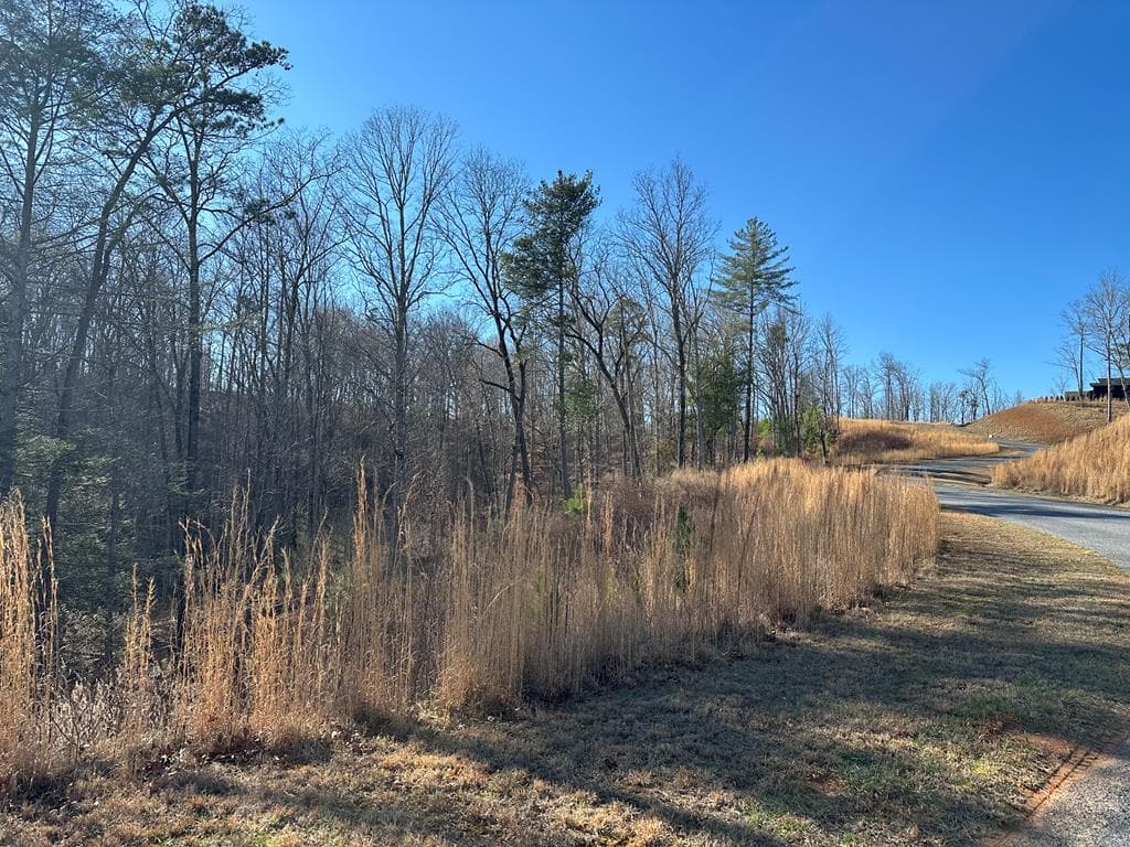 77 River Overlook Lane S, Ellijay GA 30540 - Primary photo