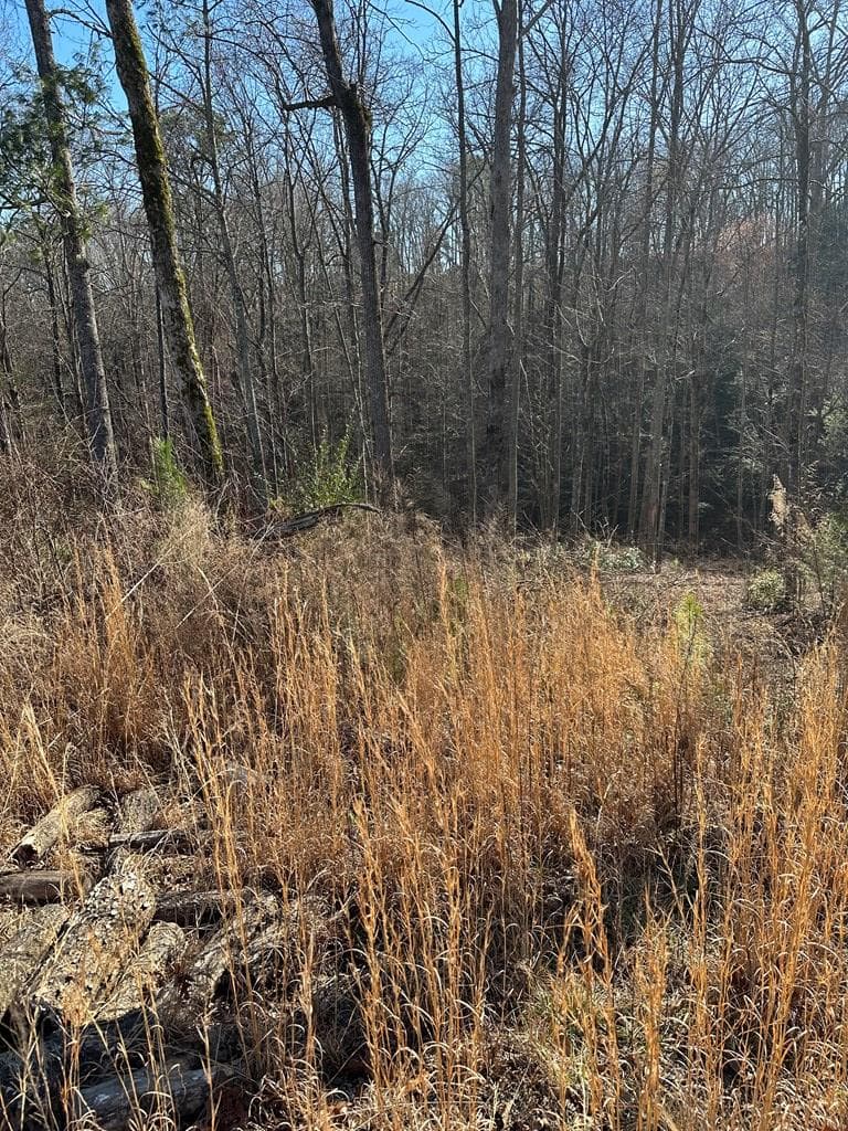 77 River Overlook Lane S, Ellijay GA 30540 - Photo