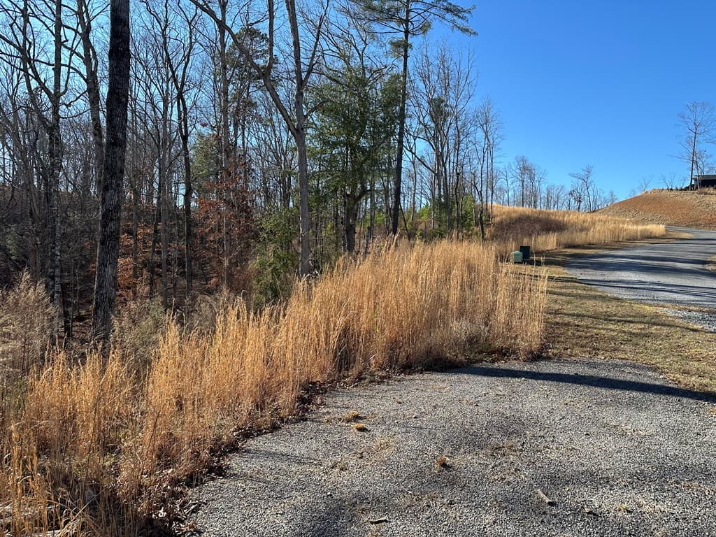 77 River Overlook Lane S, Ellijay GA 30540 - Photo