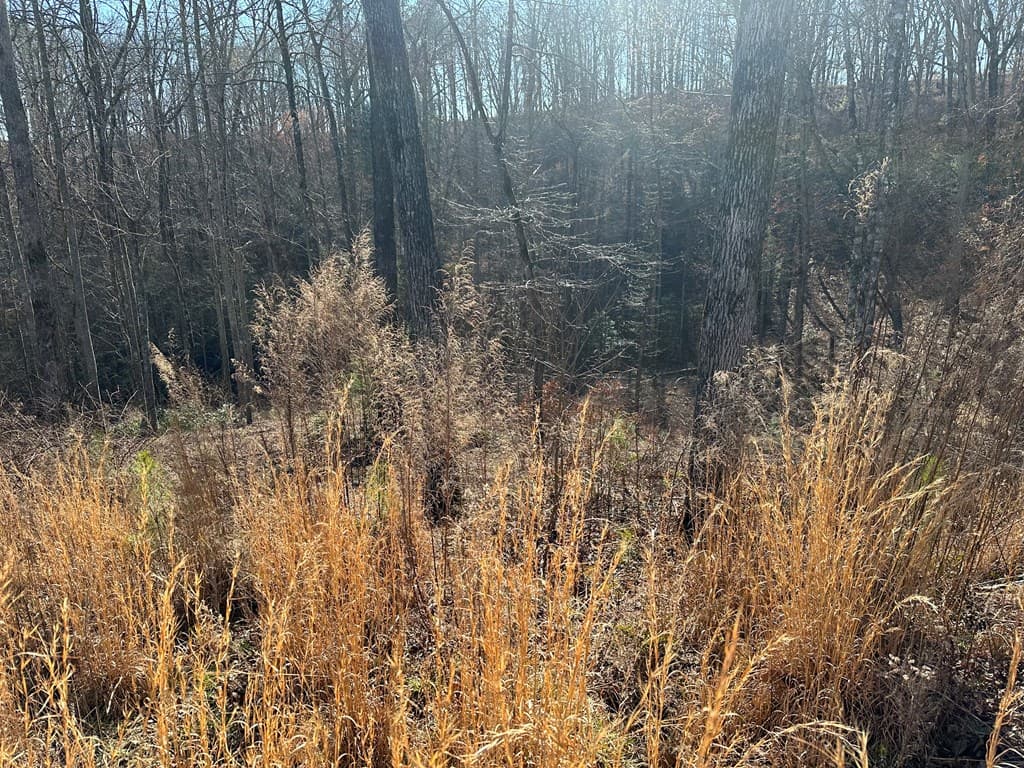 77 River Overlook Lane S, Ellijay GA 30540 - Photo