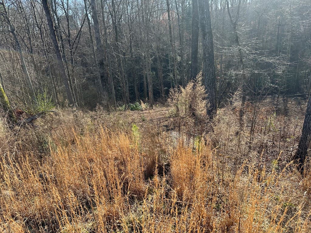 77 River Overlook Lane S, Ellijay GA 30540 - Photo