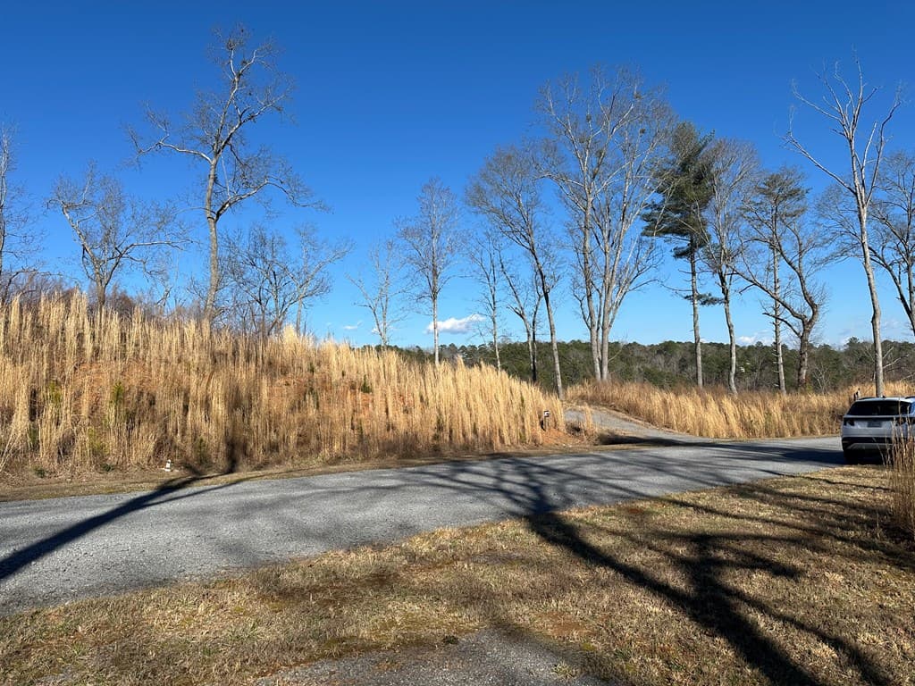 77 River Overlook Lane S, Ellijay GA 30540 - Photo