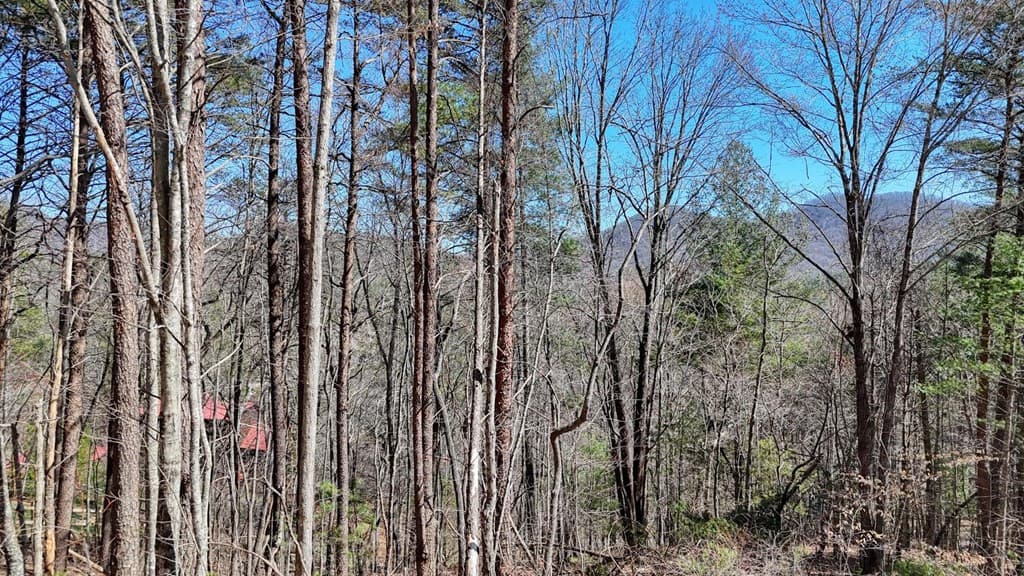 Lot 10 Firefly Ridge Road, Blairsville GA 30512 - Photo