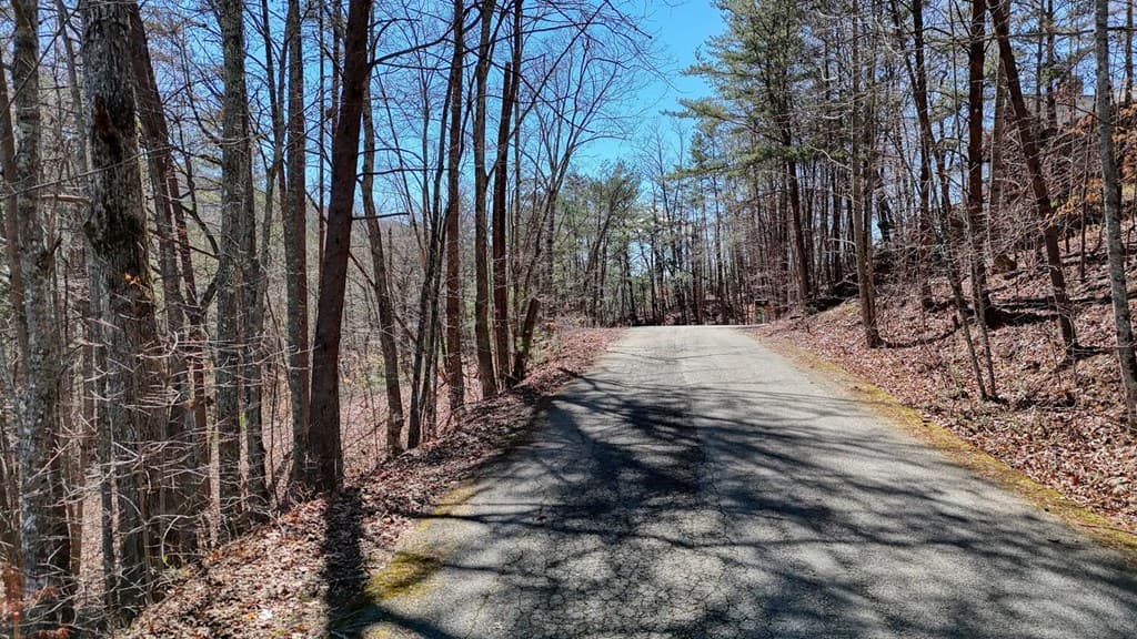Lot 10 Firefly Ridge Road, Blairsville GA 30512 - Photo