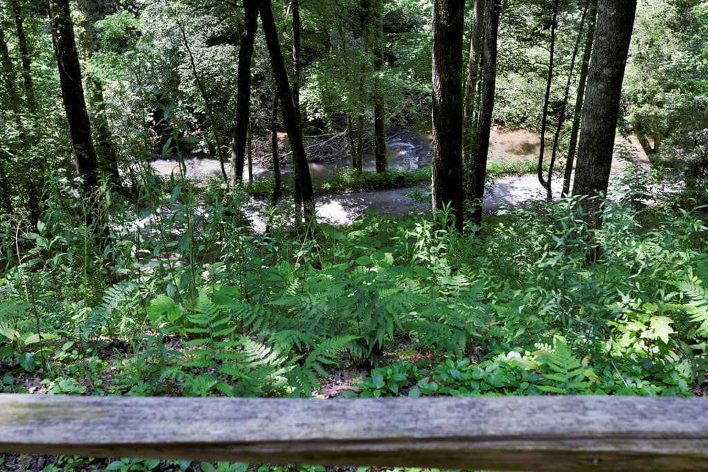 795 Kells Ridge, Ellijay GA 30540 - Photo