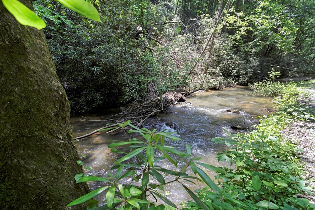 795 Kells Ridge, Ellijay GA 30540 - Photo
