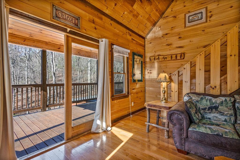 166 Dallas Lane, Blue Ridge GA 30513 - Photo