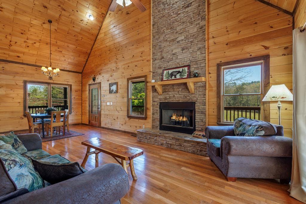 166 Dallas Lane, Blue Ridge GA 30513 - Photo