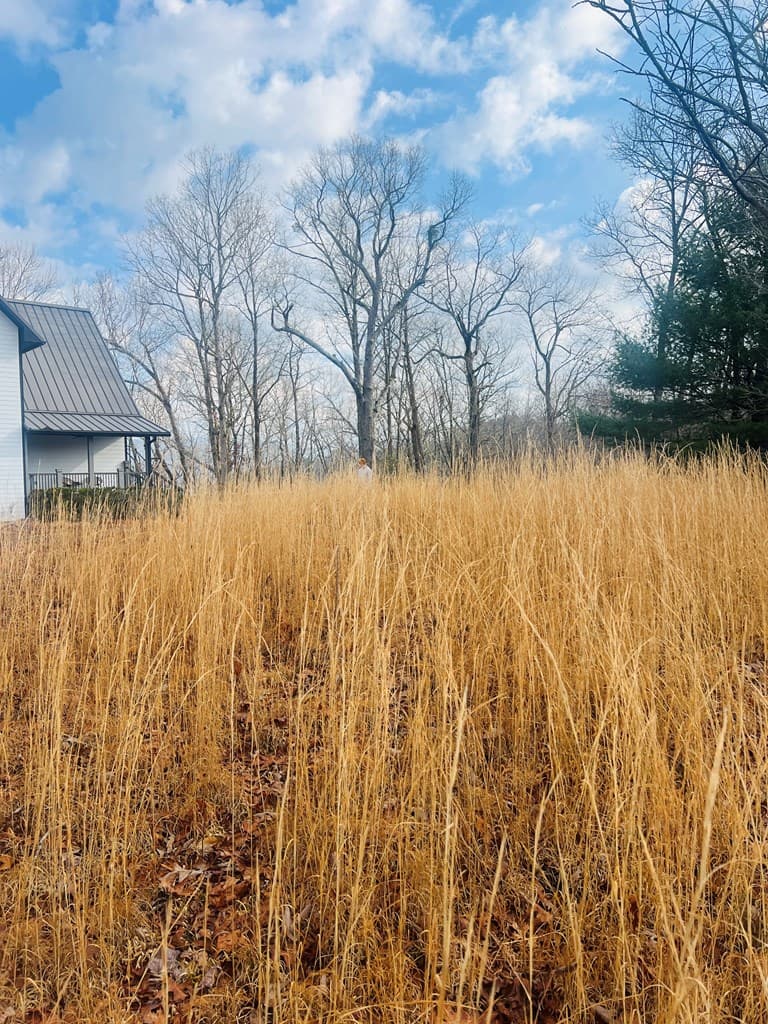 00 Aster Trail, Marble NC 28905 - Photo
