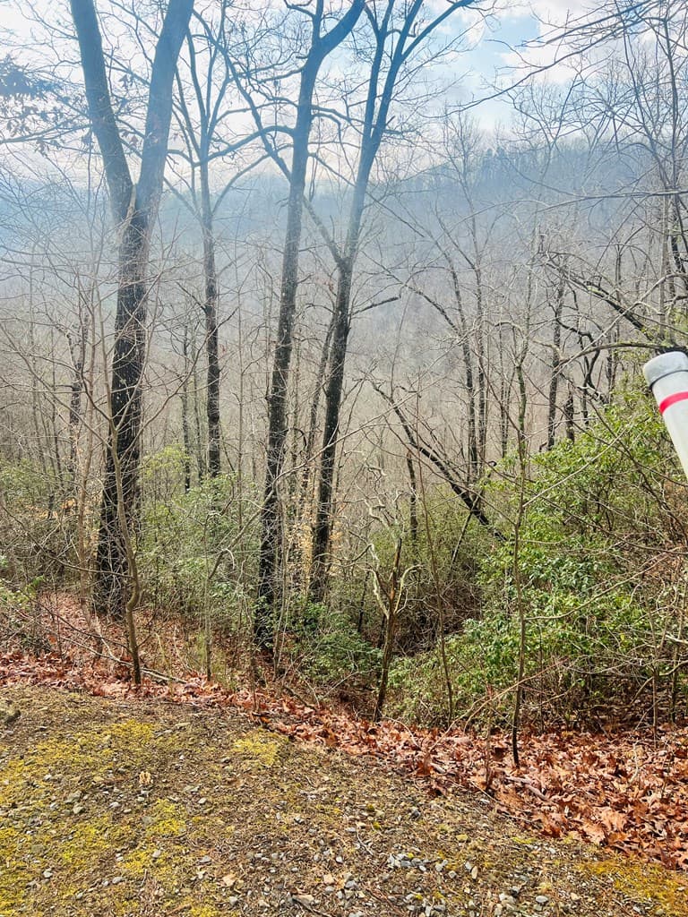 00 Aster Trail, Marble NC 28905 - Photo