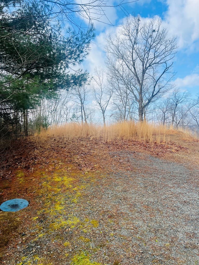 00 Aster Trail, Marble NC 28905 - Photo