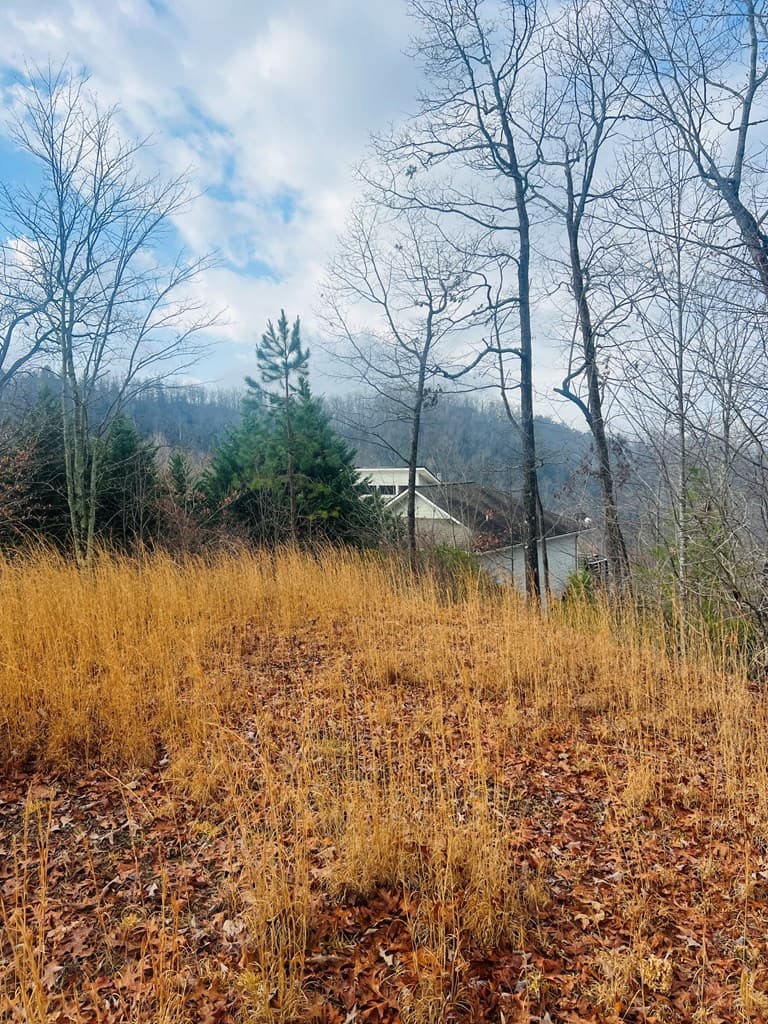 00 Aster Trail, Marble NC 28905 - Photo
