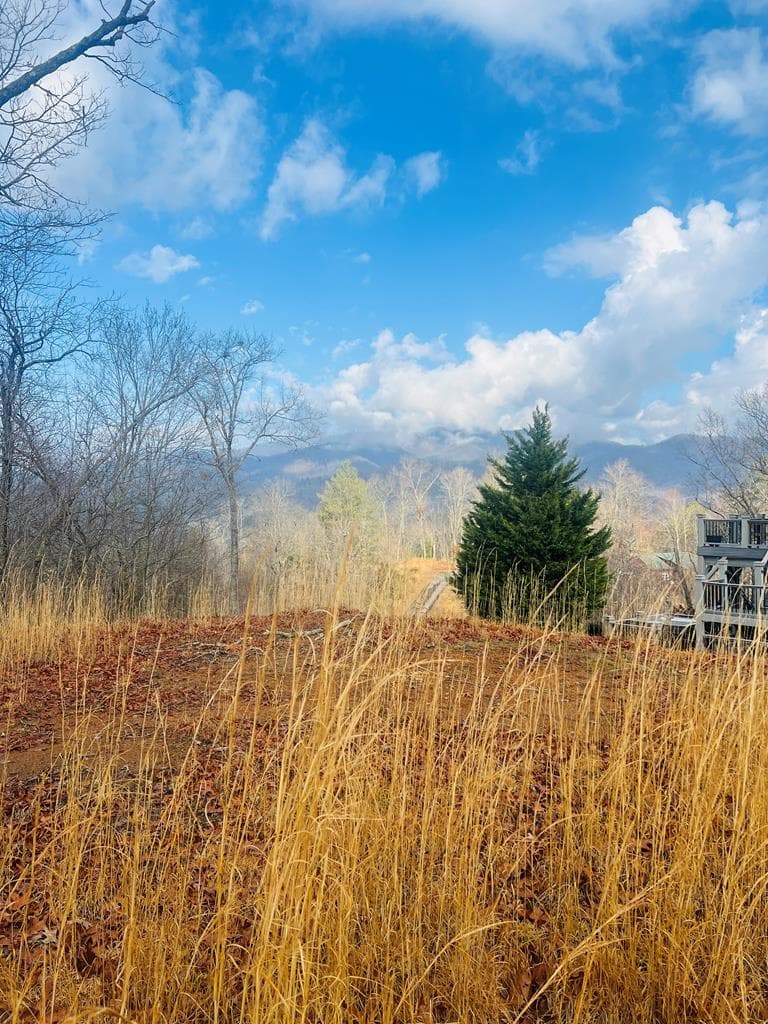 00 Aster Trail, Marble NC 28905 - Photo