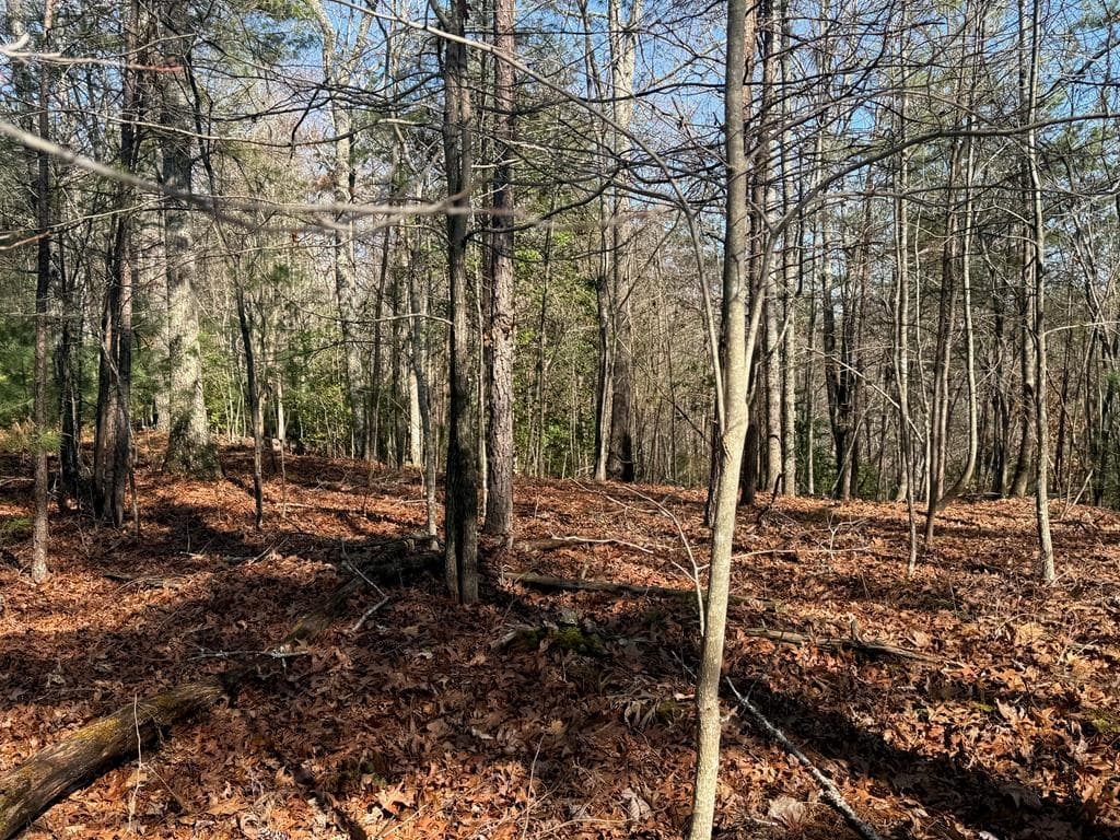 Lot 3 Willow Ridge, Warne NC 28909 - Photo