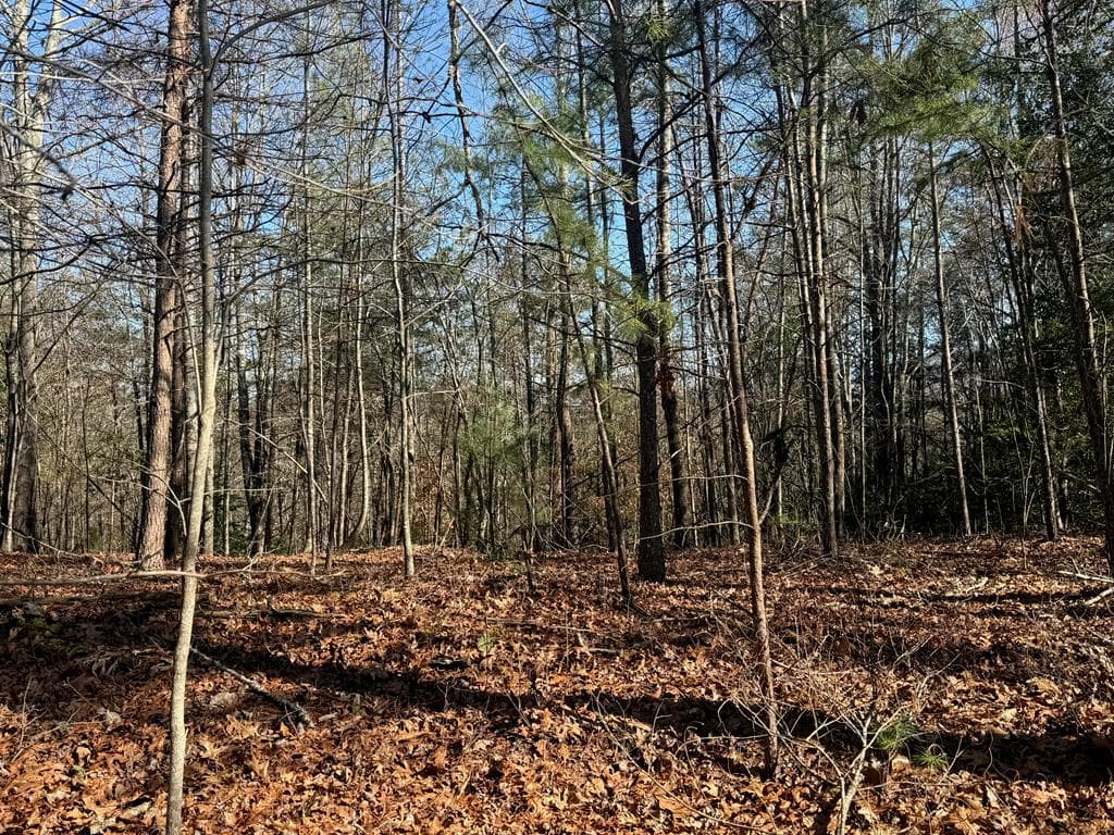 Lot 3 Willow Ridge, Warne NC 28909 - Photo