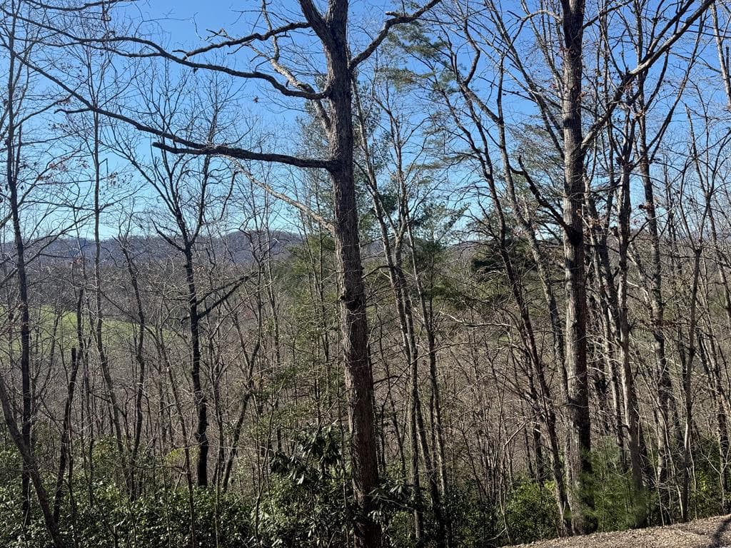 Lot 3 Willow Ridge, Warne NC 28909 - Photo