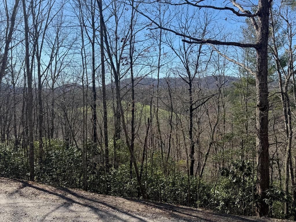 Lot 3 Willow Ridge, Warne NC 28909 - Primary photo