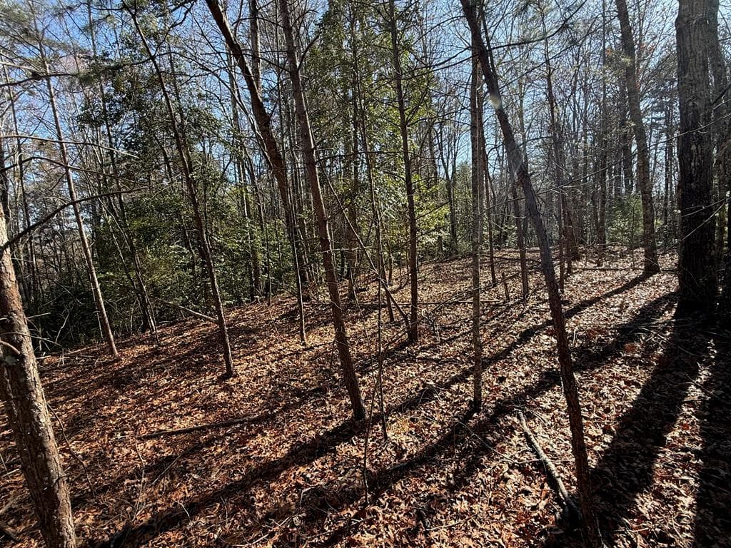 Lot 3 Willow Ridge, Warne NC 28909 - Photo