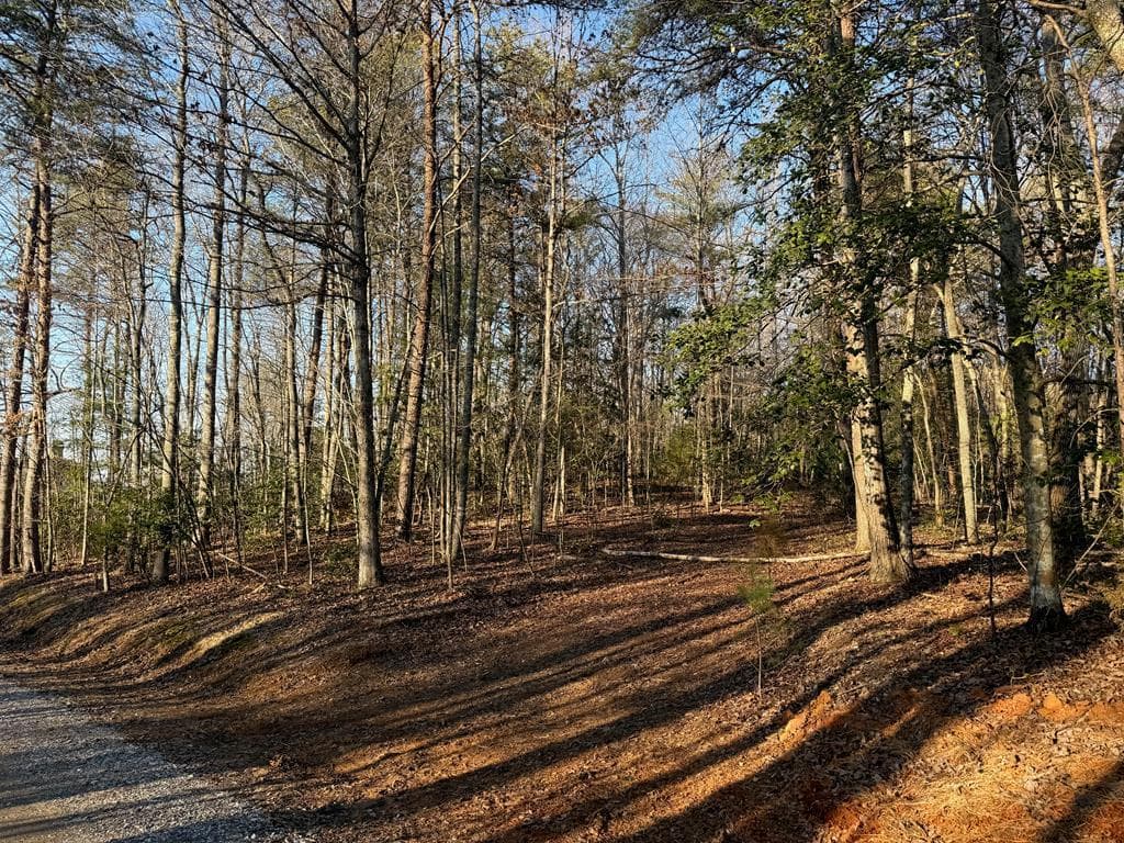 Lot 3 Willow Ridge, Warne NC 28909 - Photo