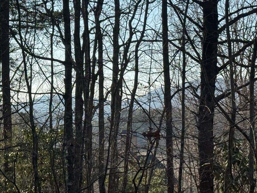 Lot 3 Willow Ridge, Warne NC 28909 - Photo