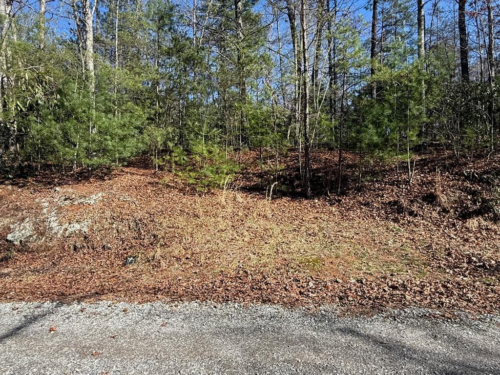 Lot 3 Willow Ridge, Warne NC 28909 - Photo