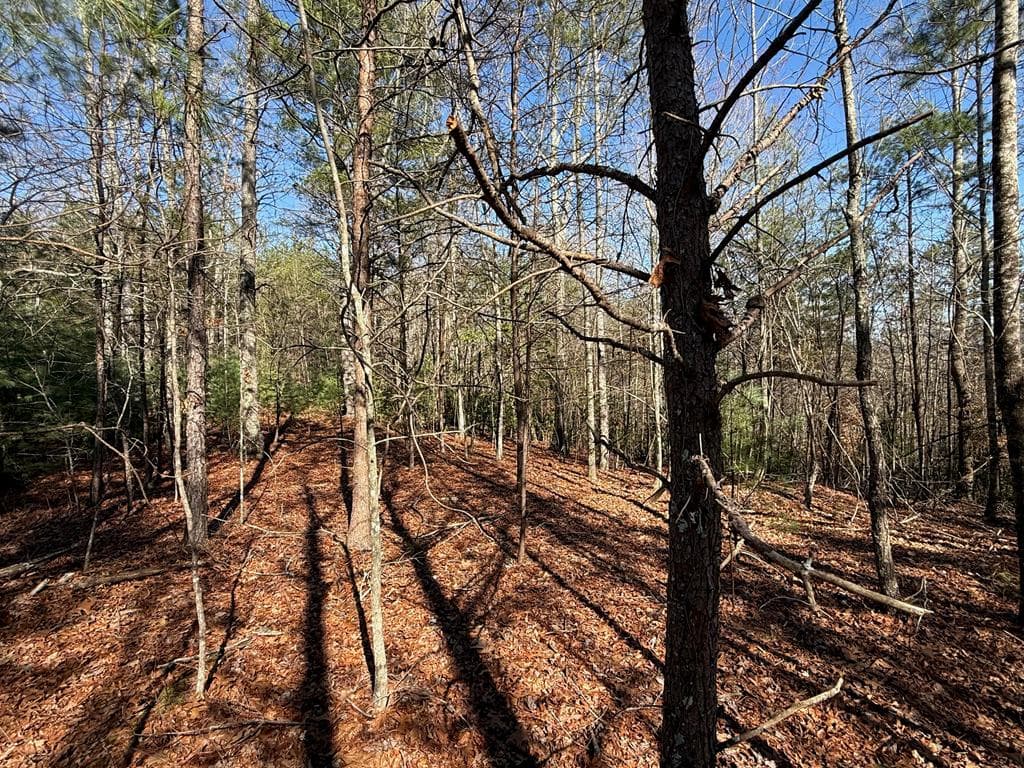 Lot 3 Willow Ridge, Warne NC 28909 - Photo