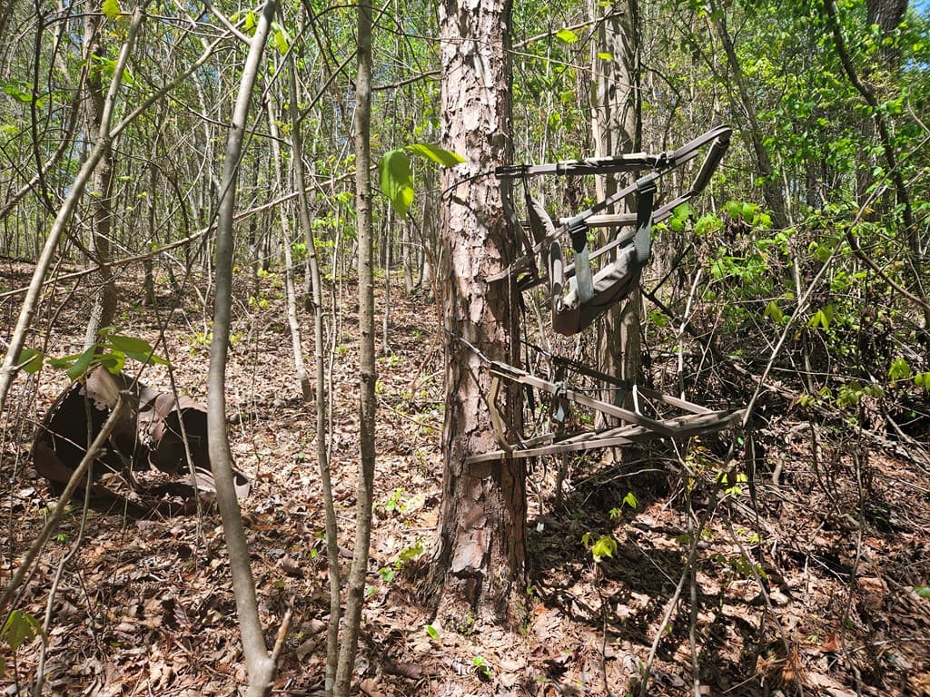 0 Maple Grove Church Road, Chatsworth GA 30705 - Photo
