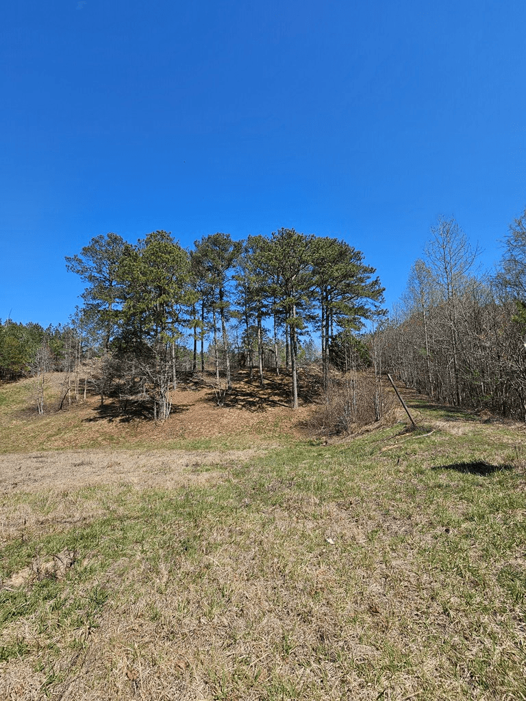 0 Maple Grove Church Road, Chatsworth GA 30705 - Photo