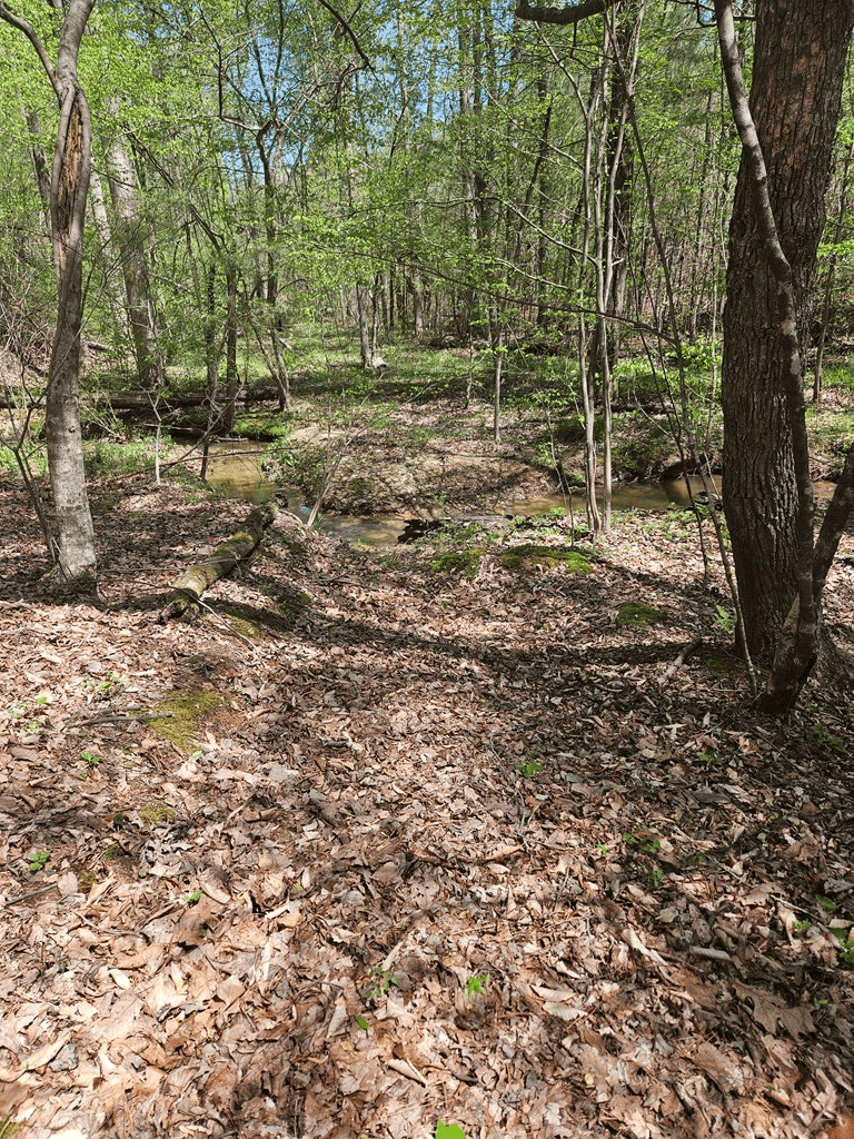 0 Maple Grove Church Road, Chatsworth GA 30705 - Photo