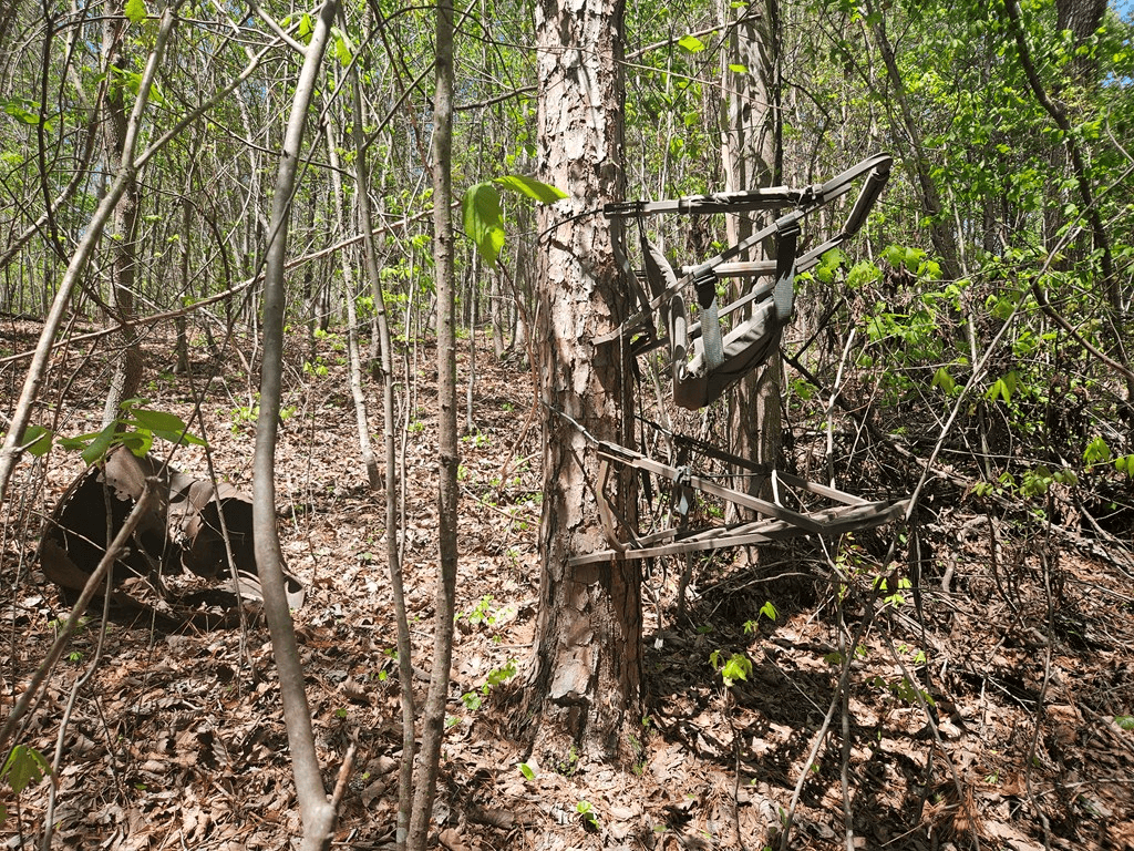 0 Maple Grove Church Road, Chatsworth GA 30705 - Photo