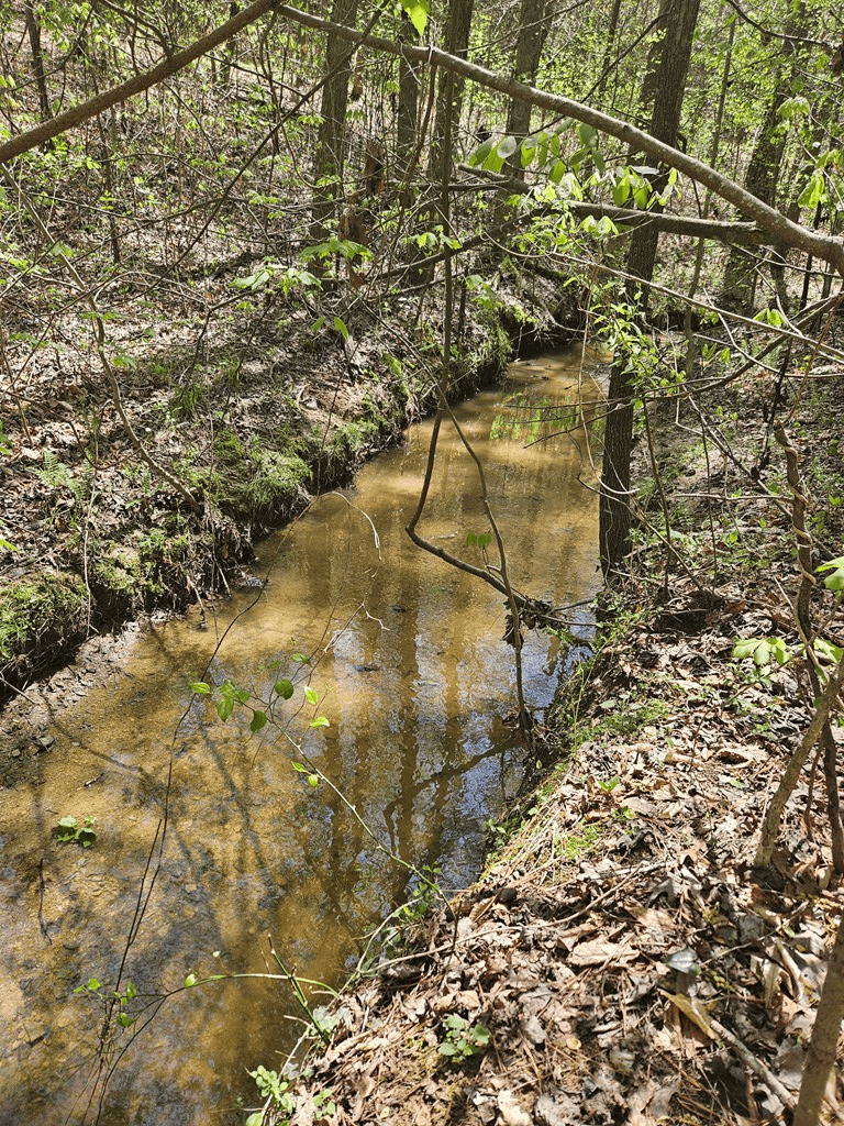 0 Maple Grove Church Road, Chatsworth GA 30705 - Photo