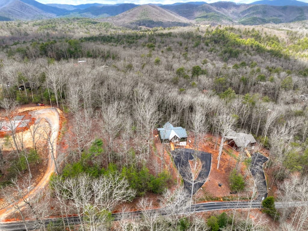 191 Bent Wood Lane, Blue Ridge GA 30513 - Photo