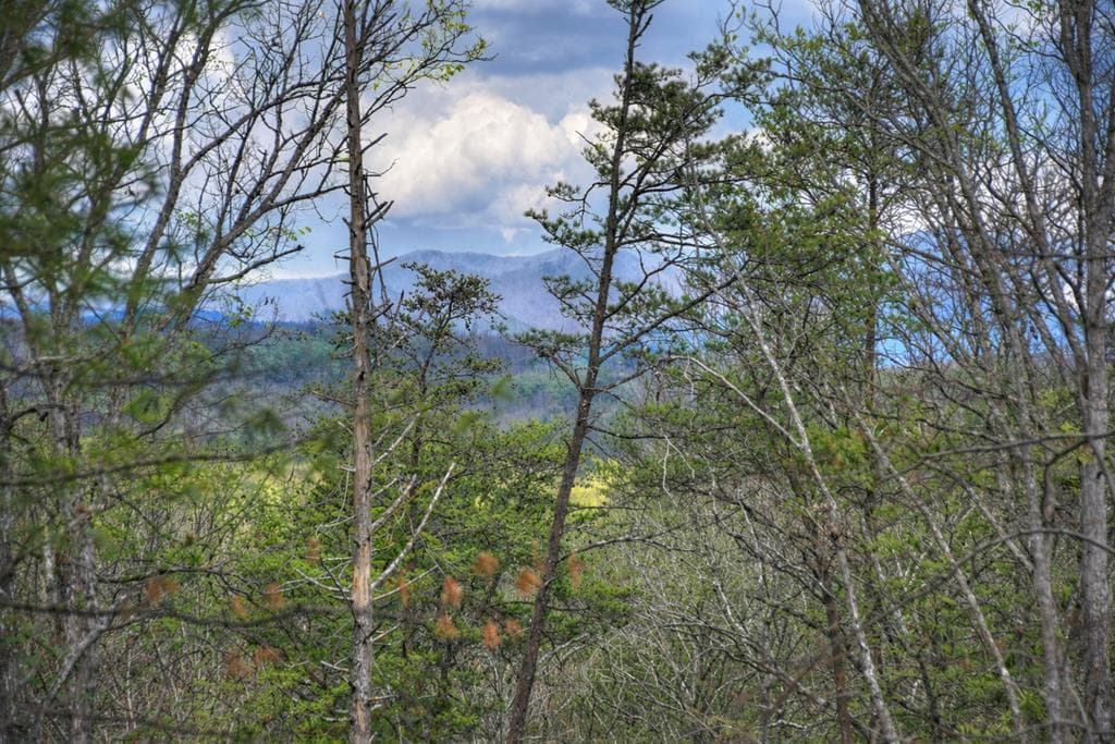 191 Bent Wood Lane, Blue Ridge GA 30513 - Photo
