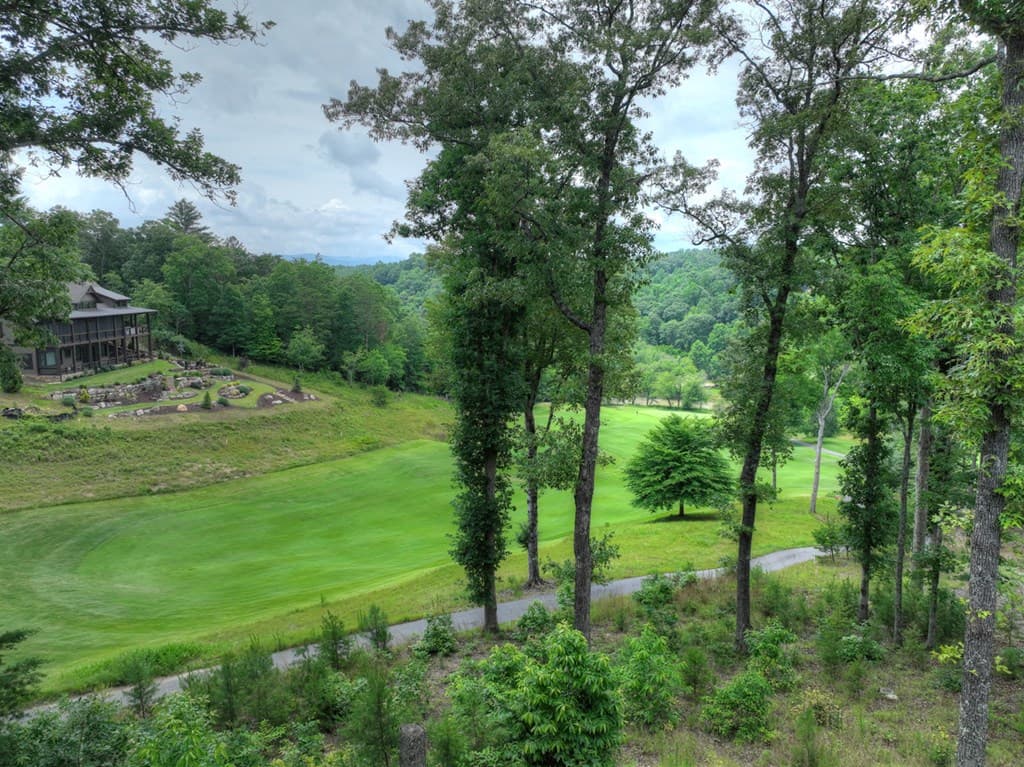 658 Old Toccoa Loop, Mineral Bluff GA 30559 - Photo