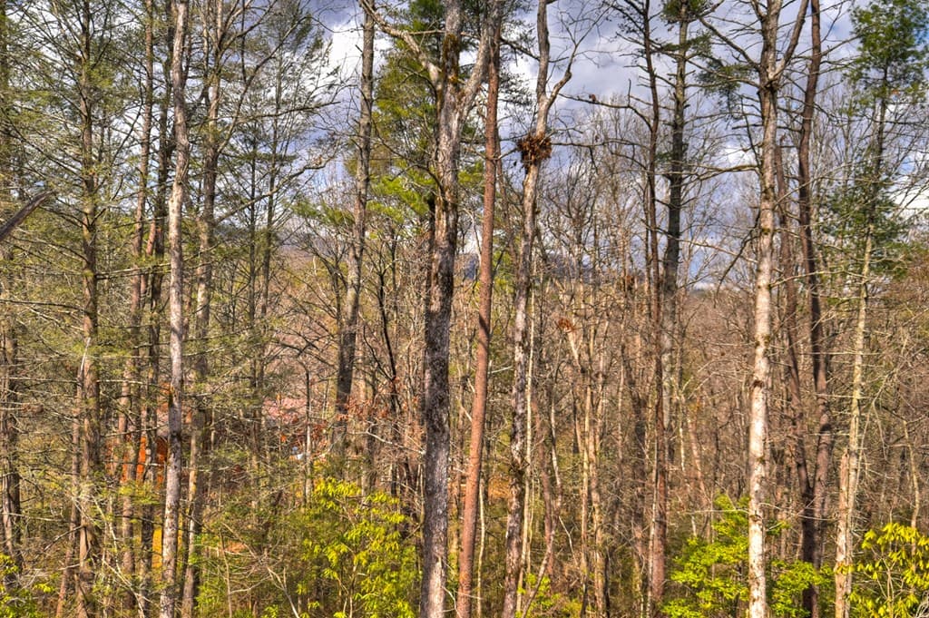 223 Bent Wood Lane, Blue Ridge GA 30513 - Photo