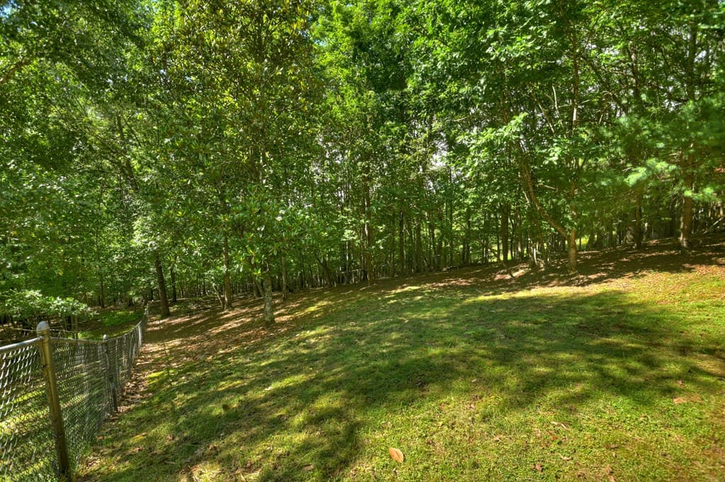 100 Arrow Way, Mineral Bluff GA 30559 - Photo